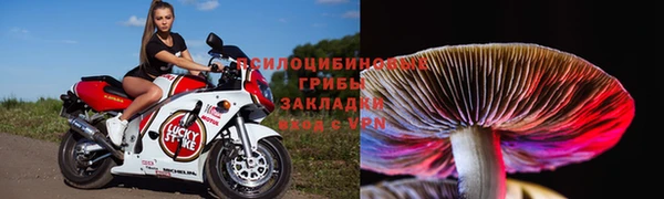 ешки Абинск