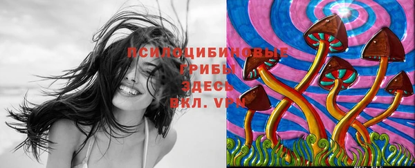 ешки Абинск