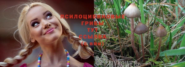 ешки Абинск